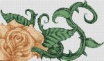 Cream Rose (image for) Cream Rose